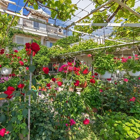 Apartmani Galic 2 Mlini Esterno foto