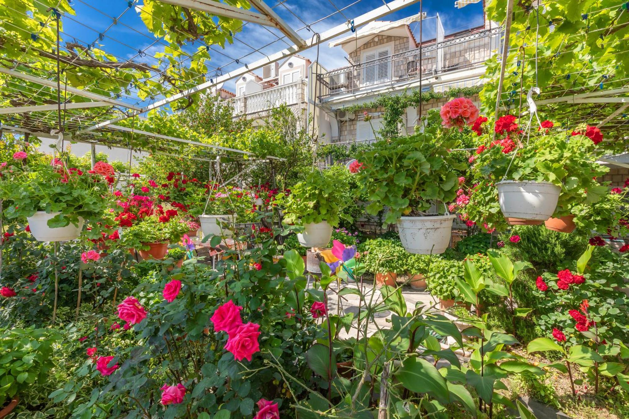 Apartmani Galic 2 Mlini Esterno foto