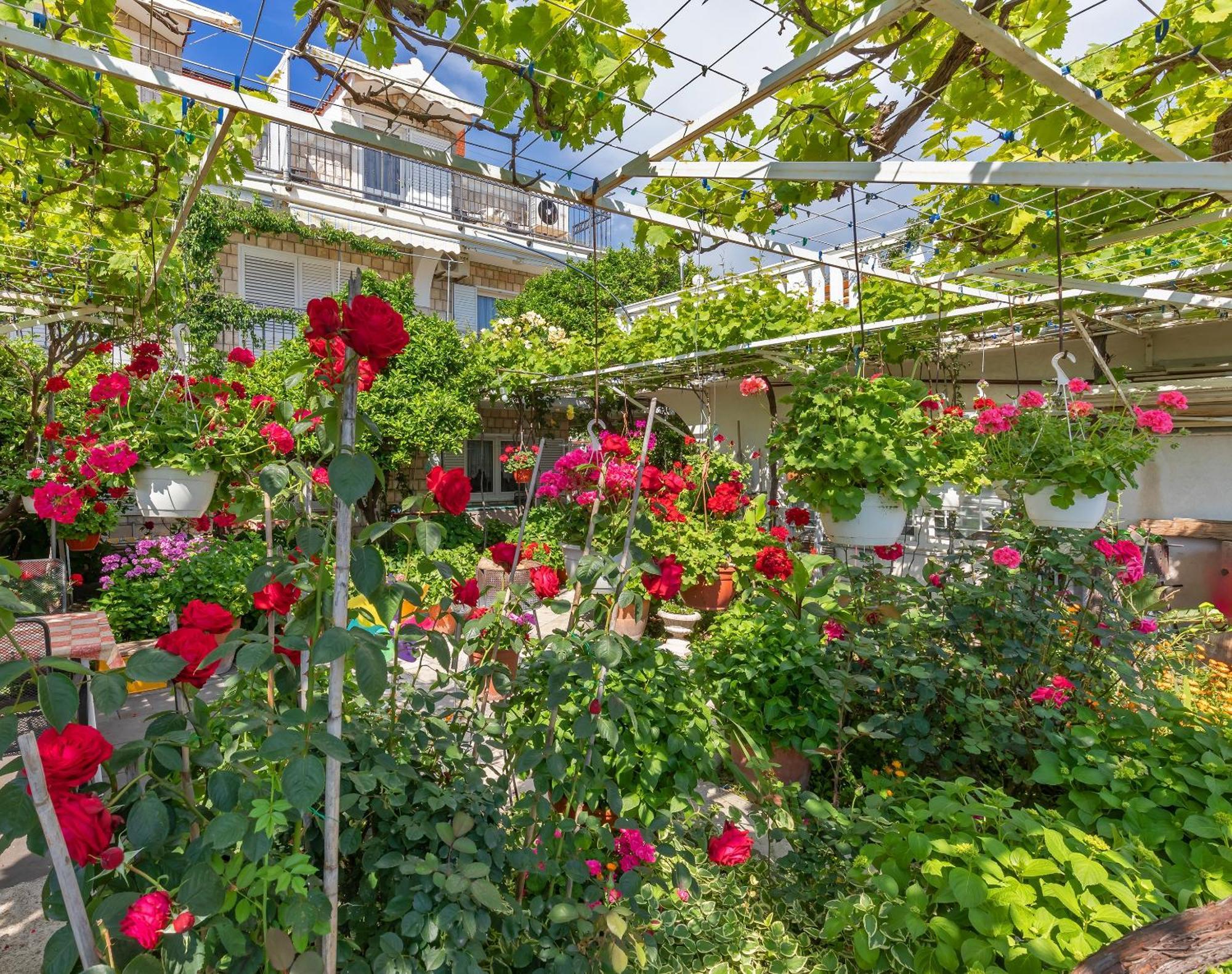 Apartmani Galic 2 Mlini Esterno foto