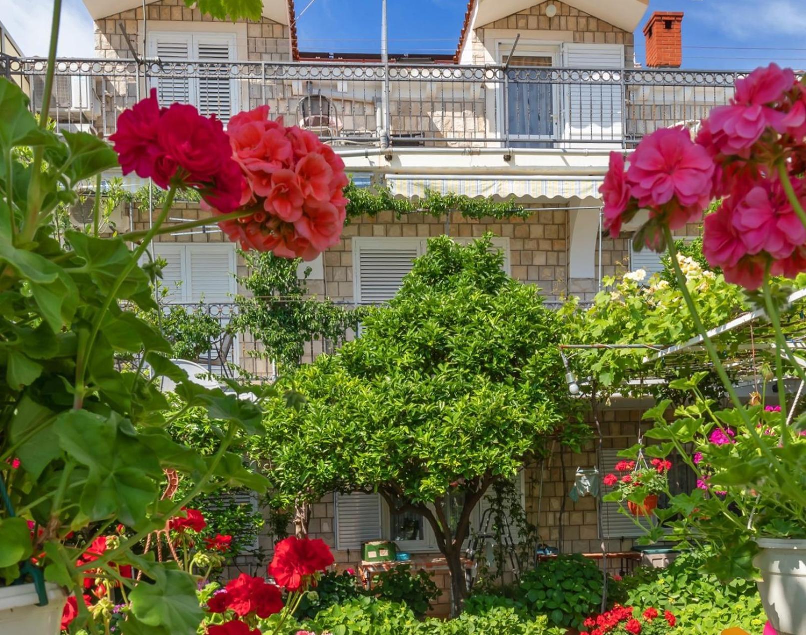 Apartmani Galic 2 Mlini Esterno foto